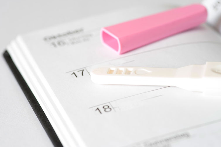 Calendar and fertility planner