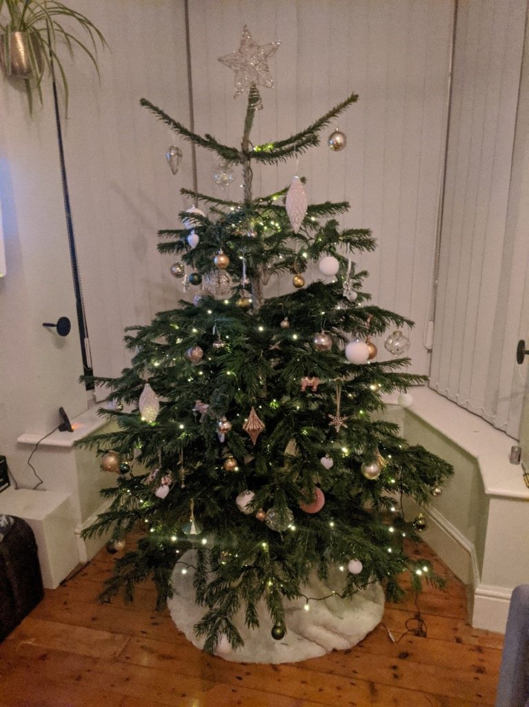 Ashleigh Christmas tree-Christmas Countdown: Ashleigh's diary-Slimming World blog