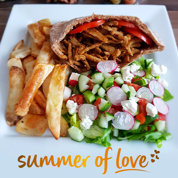 Vegan kebab with chips and salad